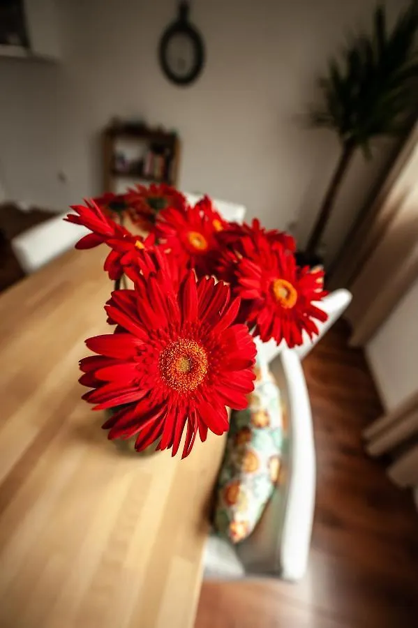 City Break Amsterdam Bnb Bed & Breakfast
