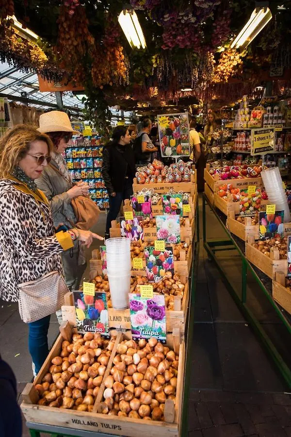Bed & Breakfast City Break Amsterdam Bnb